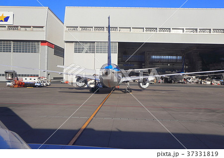 羽田空港の風景 羽田空港の風景 37331819