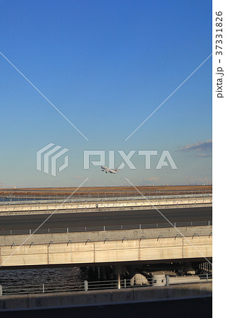 羽田空港の風景 羽田空港の風景 37331826