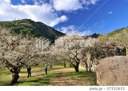 春 泉 湧水 37332633