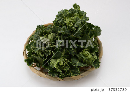 芽キャベツ（プチヴェール） 37332789