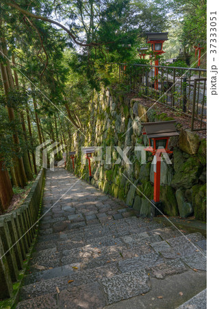 美しい参道風景 37333051