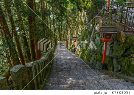 美しい参道風景 37333052