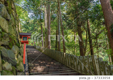 美しい参道風景 37333058