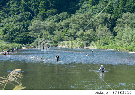 鮎釣り風景 37333219