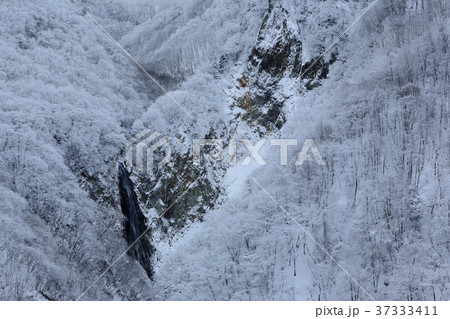 冬の志賀高原 澗満滝の写真素材