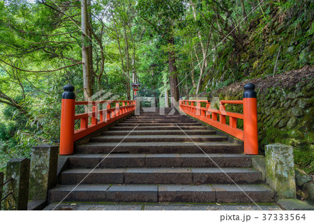 美しい参道風景 37333564
