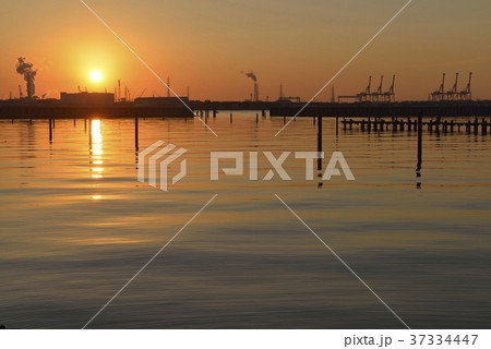 日の出 37334447
