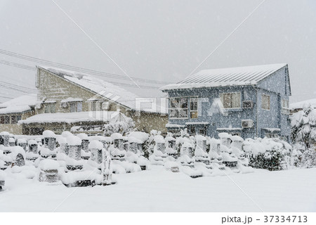 雪国 雪国 37334713