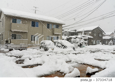 豪雪 豪雪 37334718