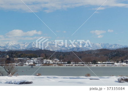 木場潟から白山が綺麗に見えた日 37335084