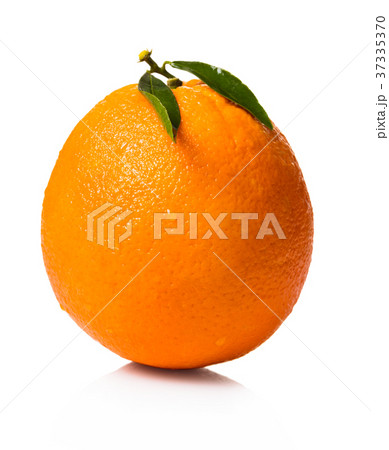 organic fruit orange organic fruit orange 37335370