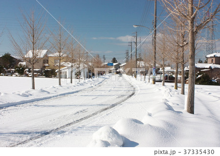 寒波が来た次の日の道路 37335430