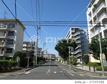 豊四季台団地(建て替え後の新しい住棟と昔のままの住棟) 豊四季台団地(建て替え後の新しい住棟と昔のままの住棟) 37335586