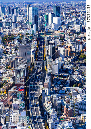 東京都 俯瞰で見下ろす都心の街並みの写真素材