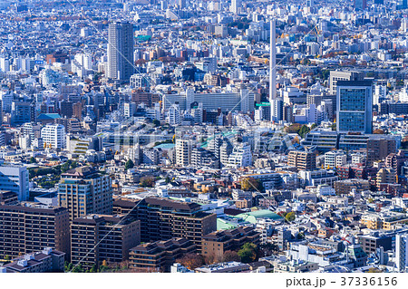 東京都 俯瞰で見下ろす都心の街並みの写真素材