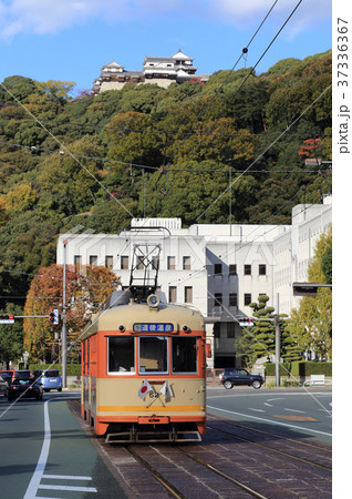 松山城を背に県庁・市役所前を走る路面電車（モハ50形） 37336367
