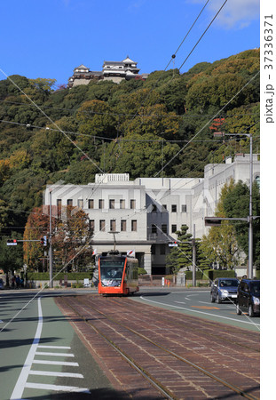 松山城を背に県庁・市役所前を走る路面電車（モハ5000形） 37336371