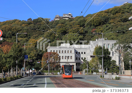 松山城を背に県庁・市役所前を走る路面電車（モハ5000形） 37336373