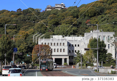 松山城を背に県庁・市役所前を走る路面電車（モハ2100形） 37336383