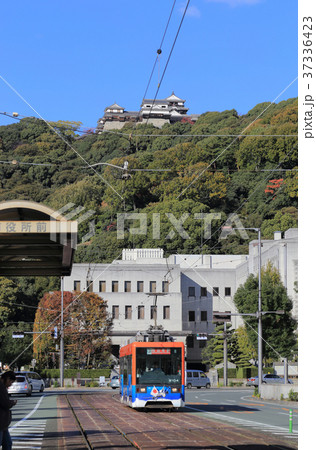 松山城を背に県庁・市役所前を走る路面電車（モハ2100形） 37336423