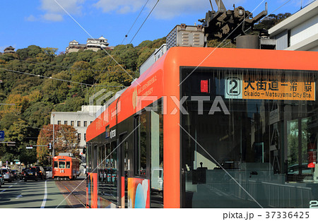 松山城を背に県庁・市役所前を走る路面電車(モハ2100形、モハ2000形) 松山城を背に県庁・市役所前を走る路面電車(モハ2100形、モハ2000形) 37336425