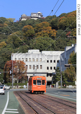 松山城を背に県庁・市役所前を走る路面電車（モハ2000形） 37336472