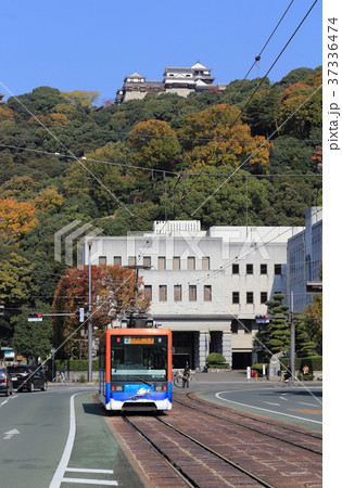 松山城を背に県庁・市役所前を走る路面電車（モハ2100形） 37336474