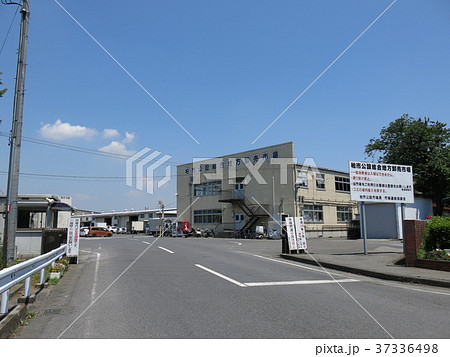柏市公設総合地方卸売市場（正門） 37336498