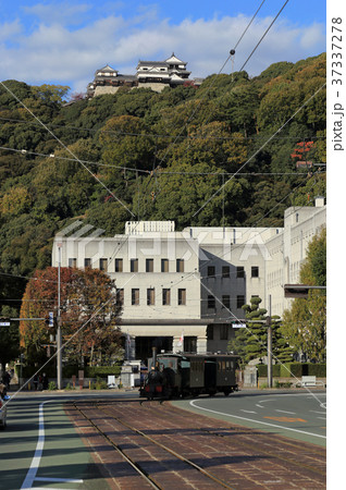 松山城を背に県庁・市役所前を走る坊っちゃん列車 37337278