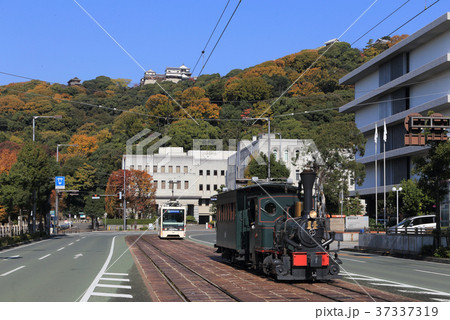 松山城を背に県庁・市役所前を走る坊っちゃん列車 37337319