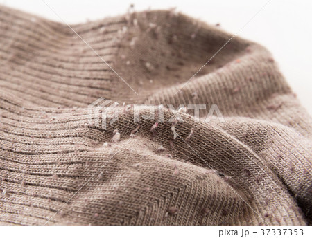 毛玉　冬物　靴下 37337353