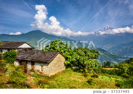 Village in the Himalaya mountains in Nepal 37337495