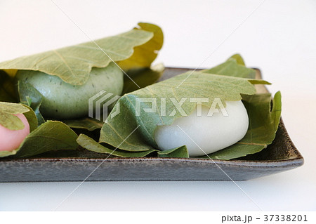 柏餅 37338201