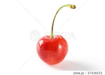 サクランボ 37338252
