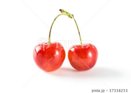 サクランボ 37338253