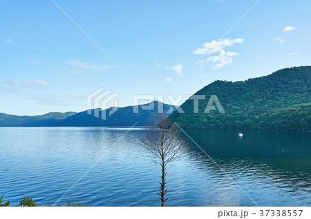 北海道　支笏湖モラップからの景色 37338557