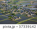 駒ヶ根の田園風景 37339142