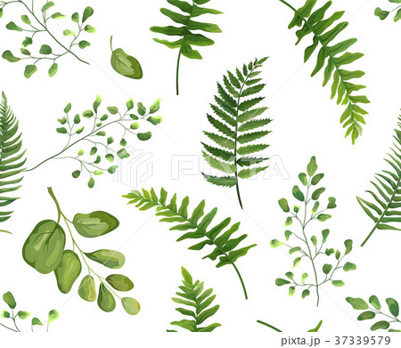 Seamless greenery green leaves botanical pattern 37339579