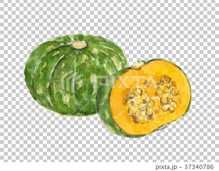カボチャ カボチャ 37340786