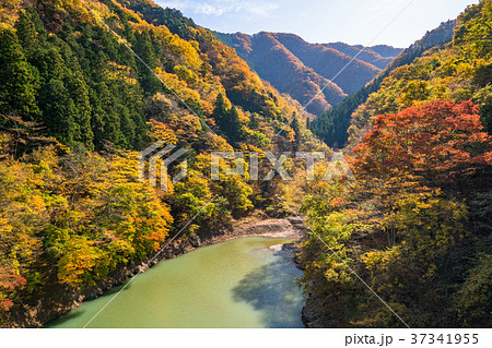 東京都 秋の奥多摩湖 自然風景の写真素材