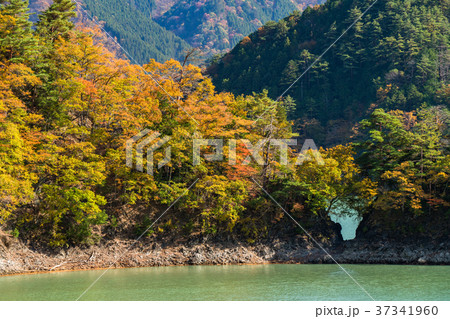 《東京都》秋の奥多摩湖・自然風景 《東京都》秋の奥多摩湖・自然風景 37341960