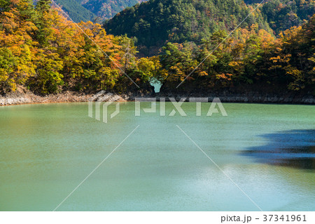 《東京都》秋の奥多摩湖・自然風景 《東京都》秋の奥多摩湖・自然風景 37341961