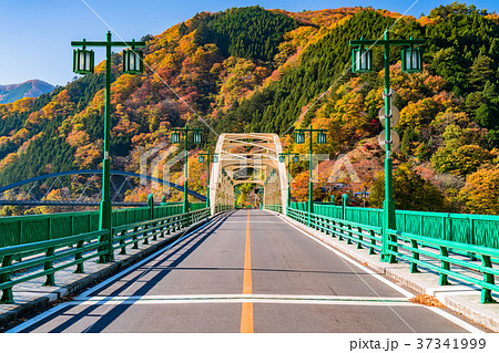 《東京都》秋の奥多摩湖・自然風景 37341999