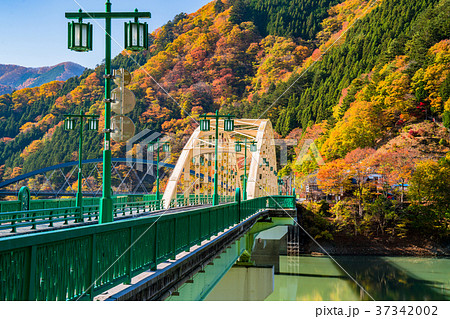 《東京都》秋の奥多摩湖・自然風景 37342002