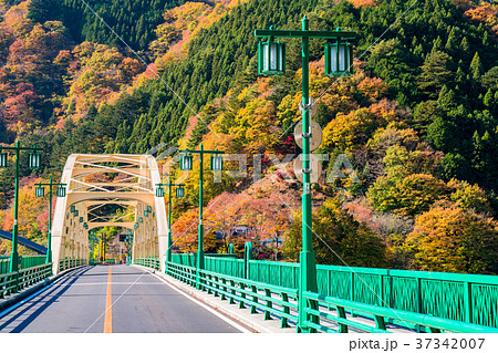 《東京都》秋の奥多摩湖・自然風景 37342007
