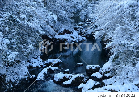 仁淀川支流の冬景色 37342022