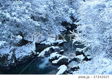 仁淀川支流の冬景色 仁淀川支流の冬景色 37342025