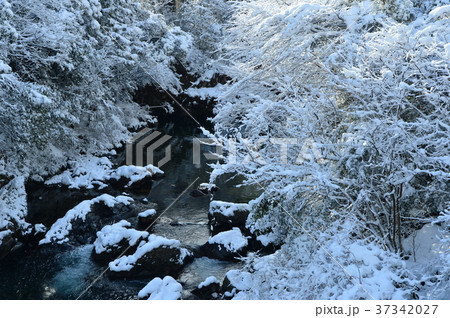 仁淀川支流の冬景色 仁淀川支流の冬景色 37342027