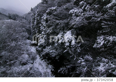 仁淀川支流の冬景色 仁淀川支流の冬景色 37342058