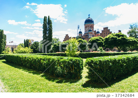 Chernivtsi National University - 37342684